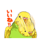ちゅんトーク（個別スタンプ：17）