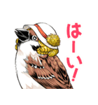ちゅんトーク（個別スタンプ：18）