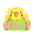 ちゅんトーク（個別スタンプ：19）