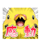 ちゅんトーク（個別スタンプ：20）
