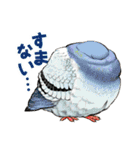 ちゅんトーク（個別スタンプ：23）