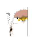ちゅんトーク（個別スタンプ：26）