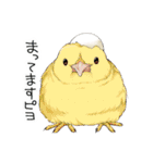 ちゅんトーク（個別スタンプ：33）