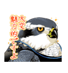 ちゅんトーク（個別スタンプ：36）