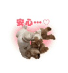 野球応援withトイプードル（個別スタンプ：24）