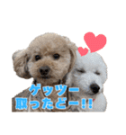 野球応援withトイプードル（個別スタンプ：27）