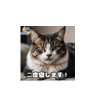週末の猫ちゃん（個別スタンプ：1）