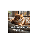 週末の猫ちゃん（個別スタンプ：2）