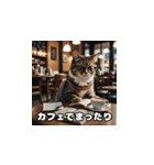 週末の猫ちゃん（個別スタンプ：4）