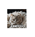 週末の猫ちゃん（個別スタンプ：10）