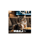 週末の猫ちゃん（個別スタンプ：13）