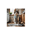週末の猫ちゃん（個別スタンプ：14）