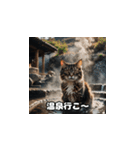 週末の猫ちゃん（個別スタンプ：16）