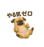 おこげたちのスタンプ（個別スタンプ：10）
