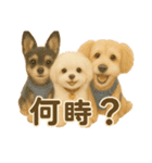 おこげたちのスタンプ（個別スタンプ：11）
