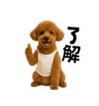 夏に使える♡かわいいトイプードル（個別スタンプ：3）