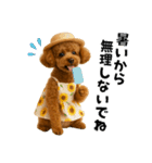 夏に使える♡かわいいトイプードル（個別スタンプ：33）