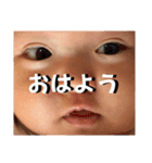 はーくんっ⋆*（個別スタンプ：1）