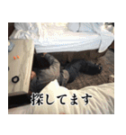 はるちゃんといっしょ LA！（個別スタンプ：9）