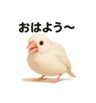 毎日使える！リアル文鳥スタンプ（個別スタンプ：1）