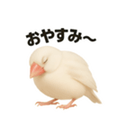 毎日使える！リアル文鳥スタンプ（個別スタンプ：2）