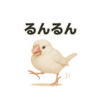 毎日使える！リアル文鳥スタンプ（個別スタンプ：8）