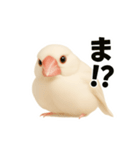 毎日使える！リアル文鳥スタンプ（個別スタンプ：9）