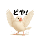 毎日使える！リアル文鳥スタンプ（個別スタンプ：10）