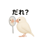 毎日使える！リアル文鳥スタンプ（個別スタンプ：16）