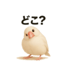 毎日使える！リアル文鳥スタンプ（個別スタンプ：18）
