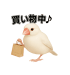毎日使える！リアル文鳥スタンプ（個別スタンプ：19）