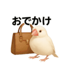 毎日使える！リアル文鳥スタンプ（個別スタンプ：21）