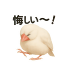 毎日使える！リアル文鳥スタンプ（個別スタンプ：23）