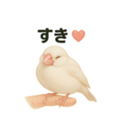 毎日使える！リアル文鳥スタンプ（個別スタンプ：28）