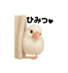 毎日使える！リアル文鳥スタンプ（個別スタンプ：31）