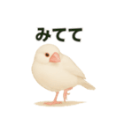 毎日使える！リアル文鳥スタンプ（個別スタンプ：32）
