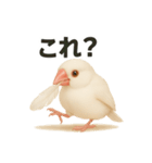 毎日使える！リアル文鳥スタンプ（個別スタンプ：34）