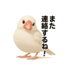 毎日使える！リアル文鳥スタンプ（個別スタンプ：39）