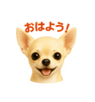 チワワのやさしい毎日（個別スタンプ：1）