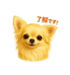 チワワのやさしい毎日（個別スタンプ：2）