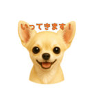 チワワのやさしい毎日（個別スタンプ：5）