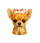 チワワのやさしい毎日（個別スタンプ：15）