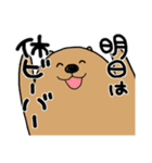 サタデーナイトビーバーズ！（個別スタンプ：10）