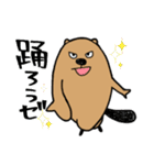 サタデーナイトビーバーズ！（個別スタンプ：16）