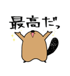 サタデーナイトビーバーズ！（個別スタンプ：17）