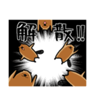 サタデーナイトビーバーズ！（個別スタンプ：24）