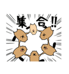 サタデーナイトビーバーズ！（個別スタンプ：25）
