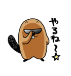 サタデーナイトビーバーズ！（個別スタンプ：31）