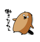 サタデーナイトビーバーズ！（個別スタンプ：40）