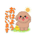 かわいいトイプードル❤️デカ文字（個別スタンプ：2）